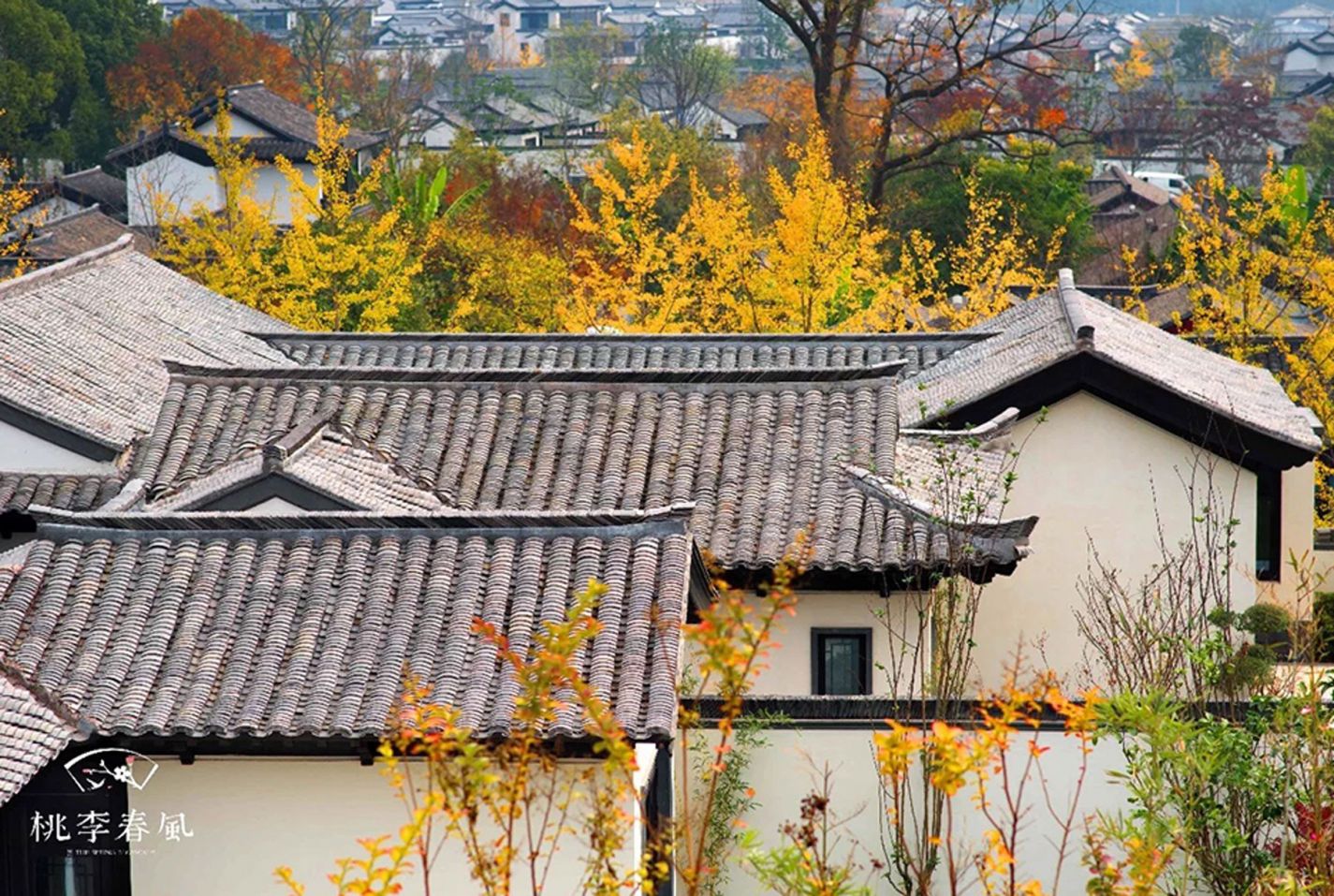 AG8亚洲游戏国际集团·(中国)官方网站