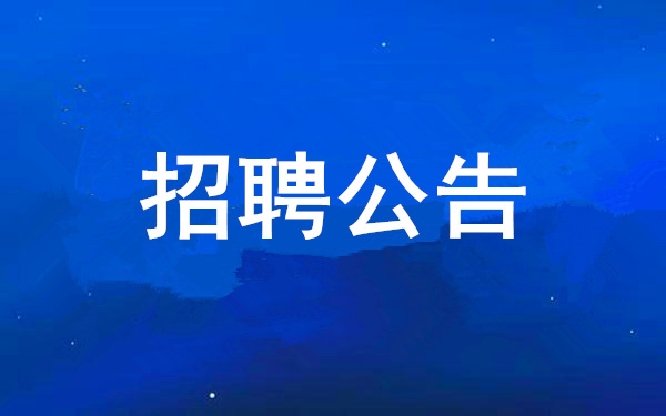 9091美高梅官方网站2025年度公开招聘公告