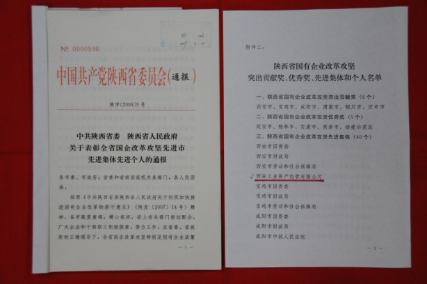 2009年2月，被陕西省委、省政府授予陕西省国有企业改革攻坚先进集体